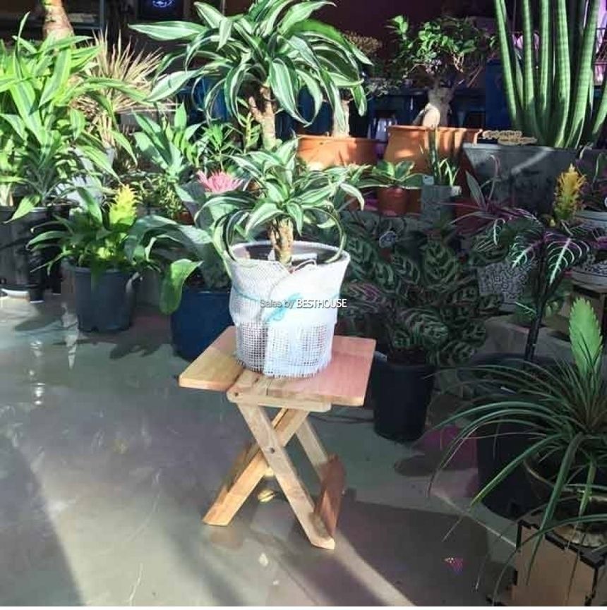 접이식 우드 화분 받침대 겸용 의자-스텐드(사각) 24x24x24cm/화분받침/화분받침대/우드화분받침/나무화분