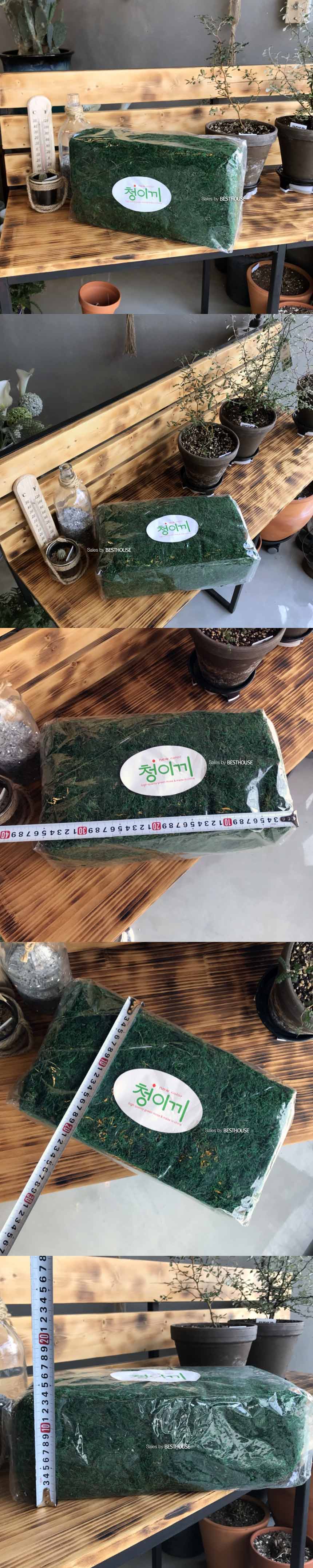 화분 데코레이션용 청이끼 35x20x11cm