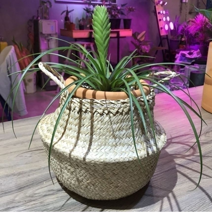 화분바구니-2중 비닐 왕골 화분 커버 (소소형) 19x23cm/화분/정원용품/홈가드닝용품/가드닝용품/가정용화분