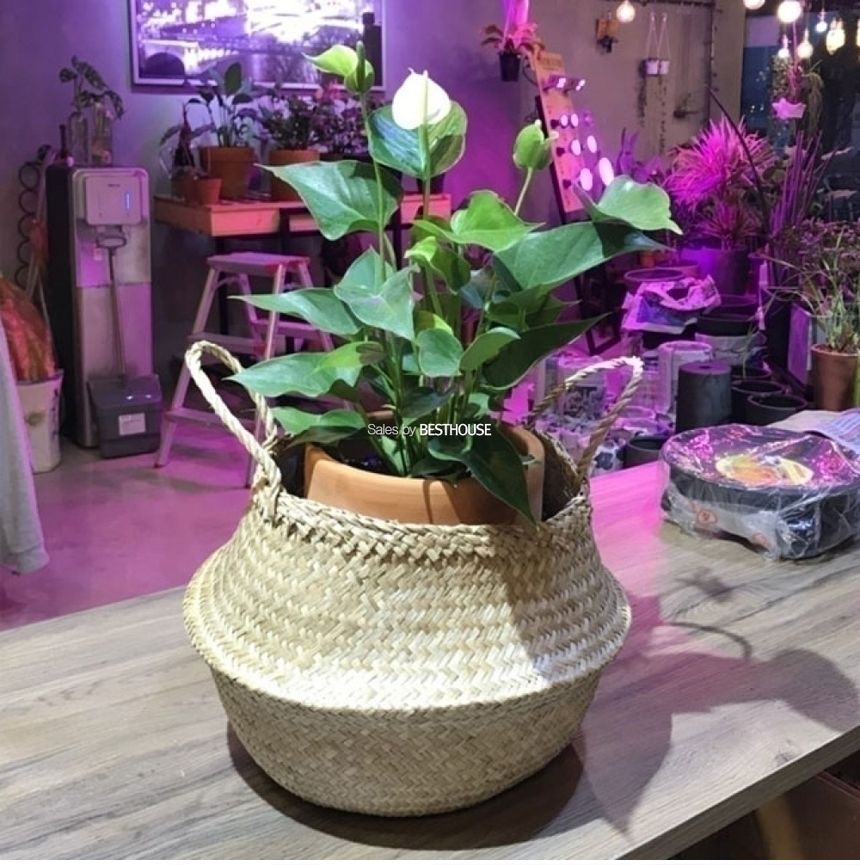화분바구니-2중 비닐 왕골 화분 커버 (소형) 25x26cm/화분/정원용품/홈가드닝용품/가드닝용품/가정용화분/