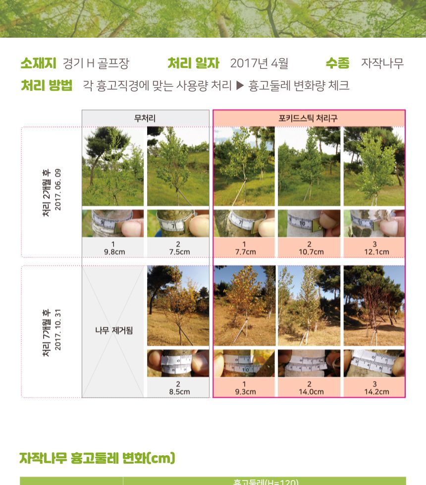 누보 포키드스틱 (1개) 땅에 박는 수목전용 막대비료 포키드스틱 막대비료 화분용품 원예용품 정원용품 수목전용비료 나무전용막대비료 나무전용비료