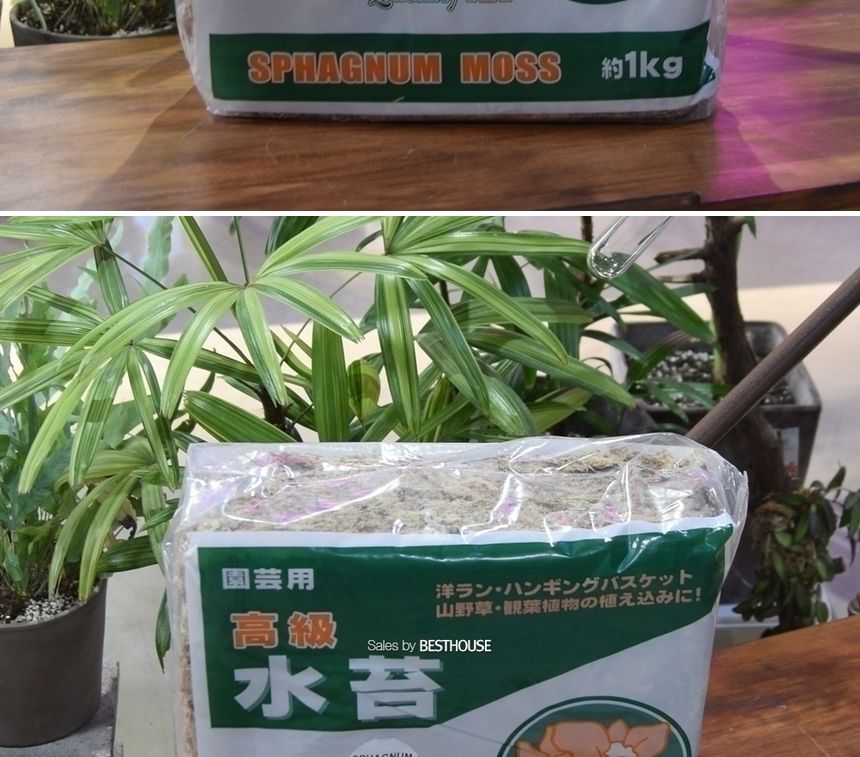 천연수태 (1Kg) 건조 압축 수태 토피어리 풍란 난 재배용/수태/압축수태/건조수태/건조압축수태/토피어리재