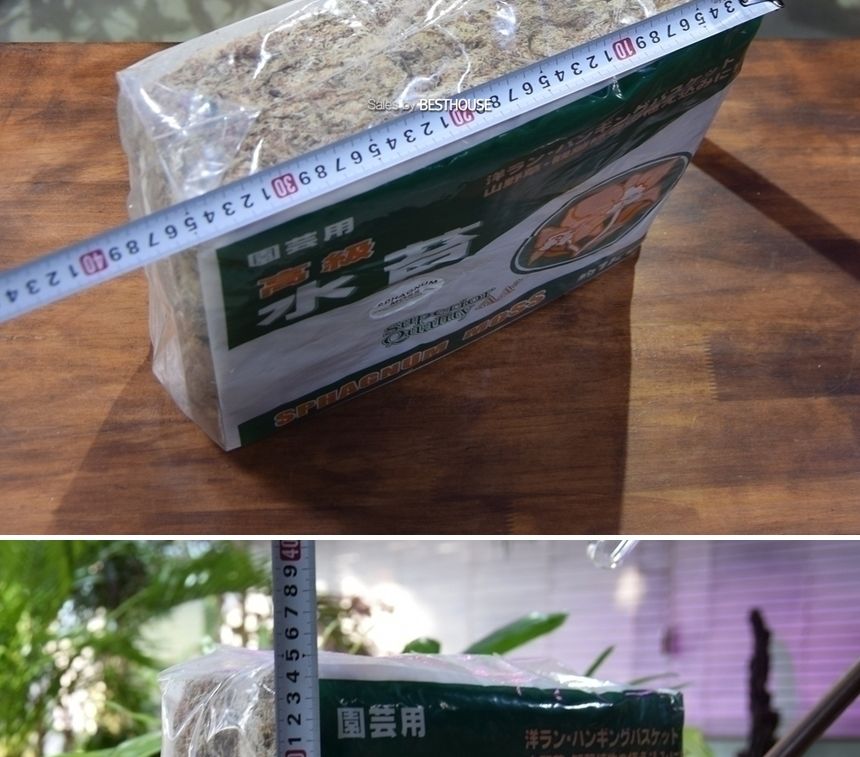 천연수태 (1Kg) 건조 압축 수태 토피어리 풍란 난 재배용/수태/압축수태/건조수태/건조압축수태/토피어리재