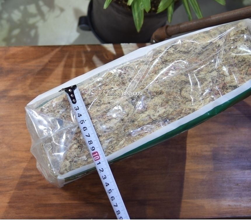 천연수태 (1Kg) 건조 압축 수태 토피어리 풍란 난 재배용/수태/압축수태/건조수태/건조압축수태/토피어리재