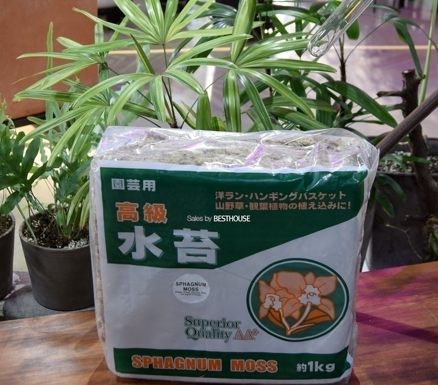 천연수태 (1Kg) 건조 압축 수태 토피어리 풍란 난 재배용/수태/압축수태/건조수태/건조압축수태/토피어리재