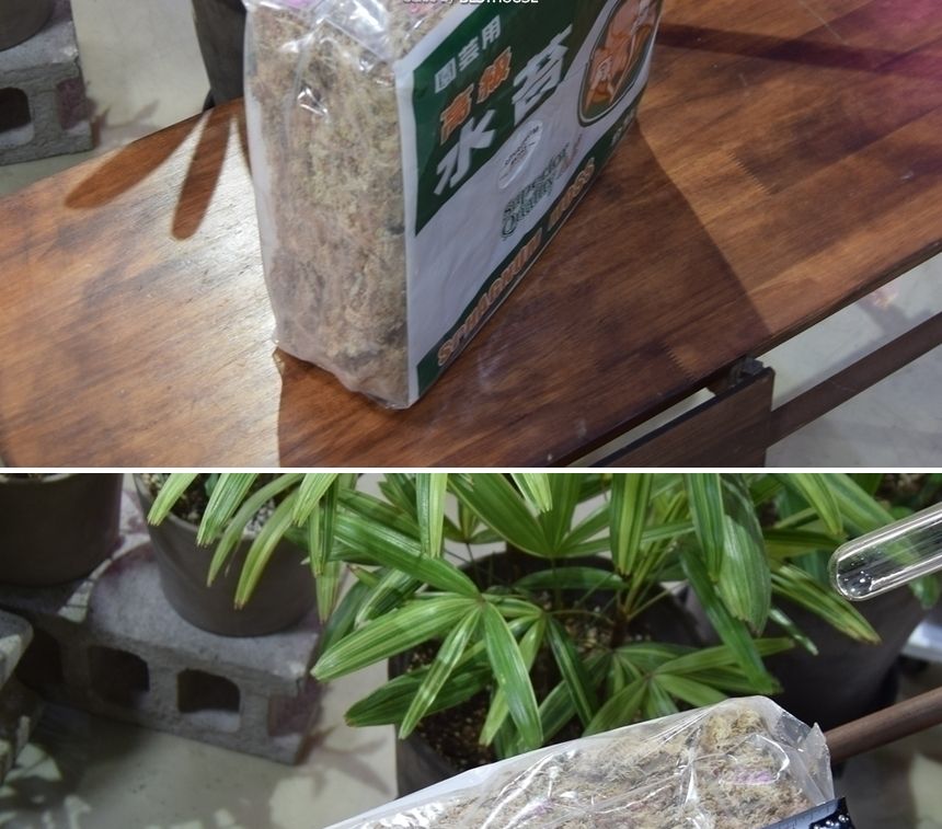 천연수태 (1Kg) 건조 압축 수태 토피어리 풍란 난 재배용/수태/압축수태/건조수태/건조압축수태/토피어리재