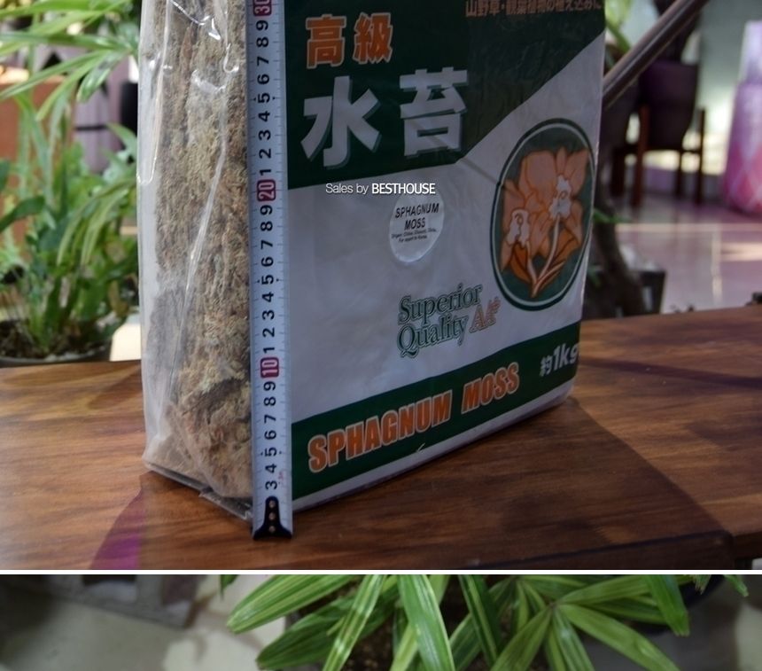 천연수태 (1Kg) 건조 압축 수태 토피어리 풍란 난 재배용/수태/압축수태/건조수태/건조압축수태/토피어리재