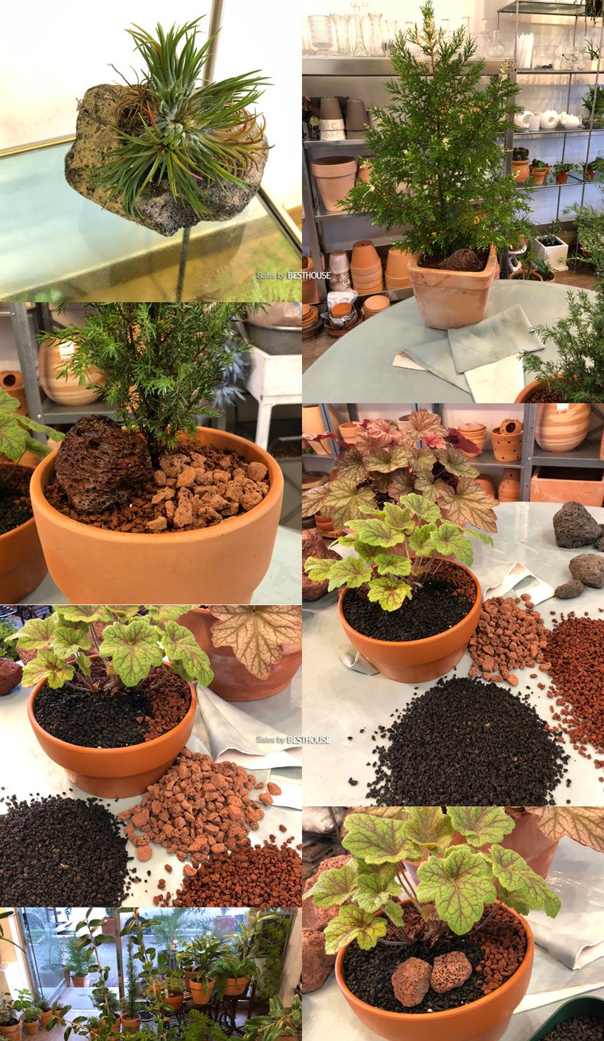 ([블랙] 10~20mm) 원예용 화산석(블랙) 대포장 자루 9-10Kg/자갈/화분돌/화분화산석/화분장식/분갈이/분갈