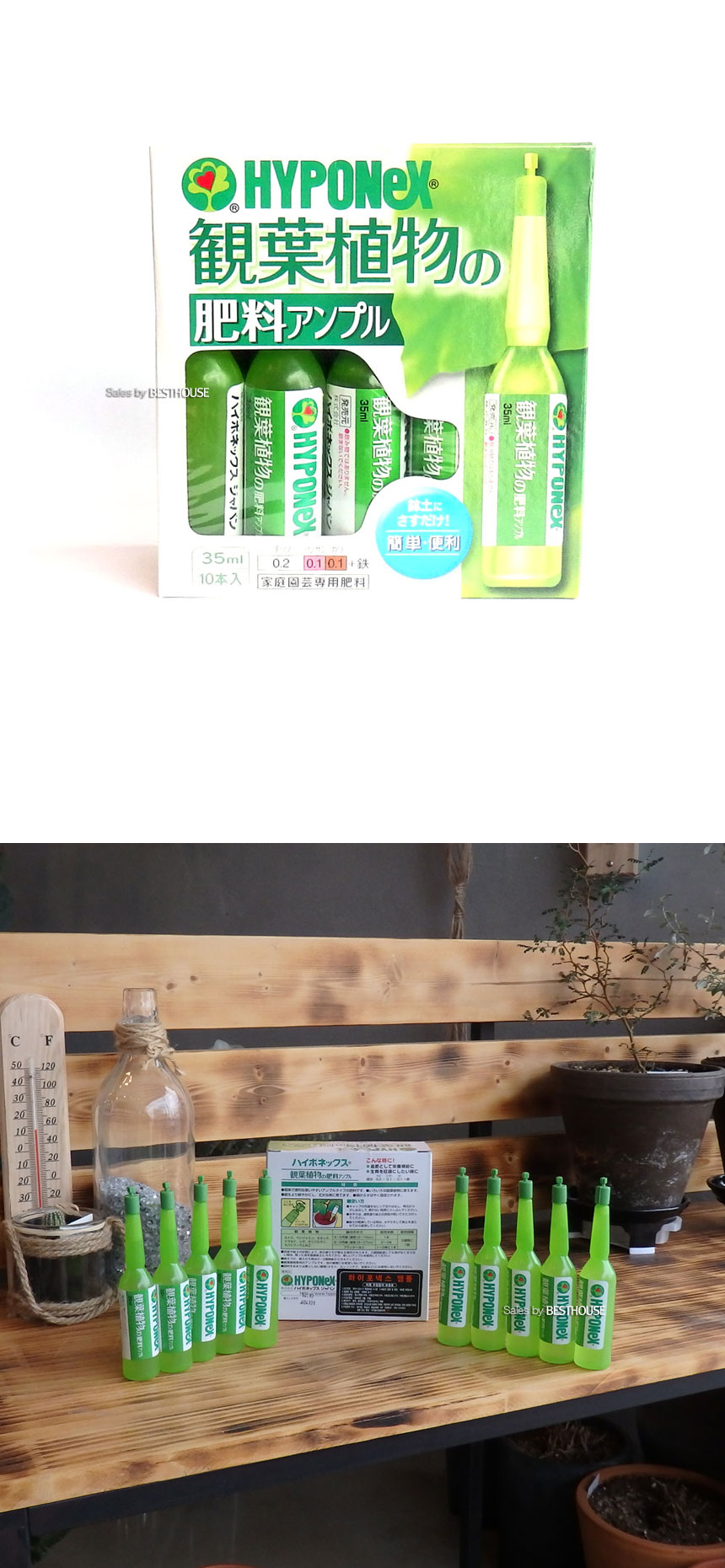 하이포넥스 앰플 (35ml x 10개) 그린/앰플비료/앰플영양제/비료/영양제/화분영양제/화분영양/식물영양제/화