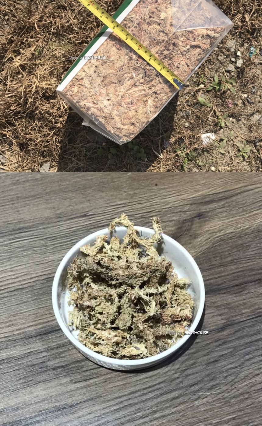 천연수태 (500g) 건조 압축 수태 토피어리 풍란 난 재배용/수태/압축수태/건조수태/건조압축수태/토피어리