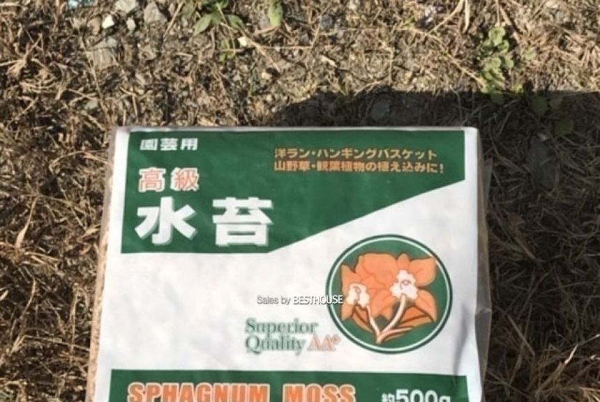천연수태 (500g) 건조 압축 수태 토피어리 풍란 난 재배용/수태/압축수태/건조수태/건조압축수태/토피어리