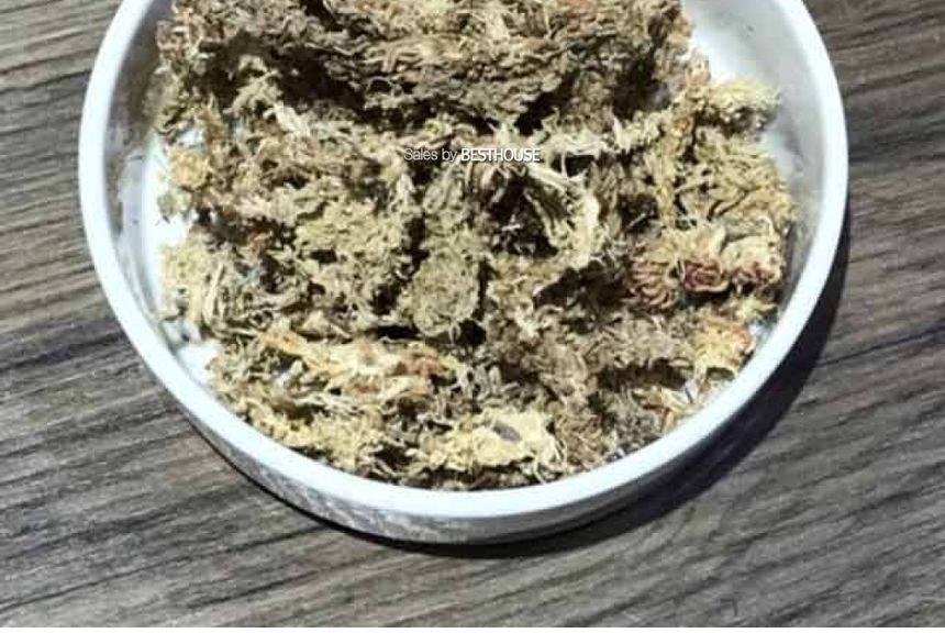 천연수태 (500g) 건조 압축 수태 토피어리 풍란 난 재배용/수태/압축수태/건조수태/건조압축수태/토피어리