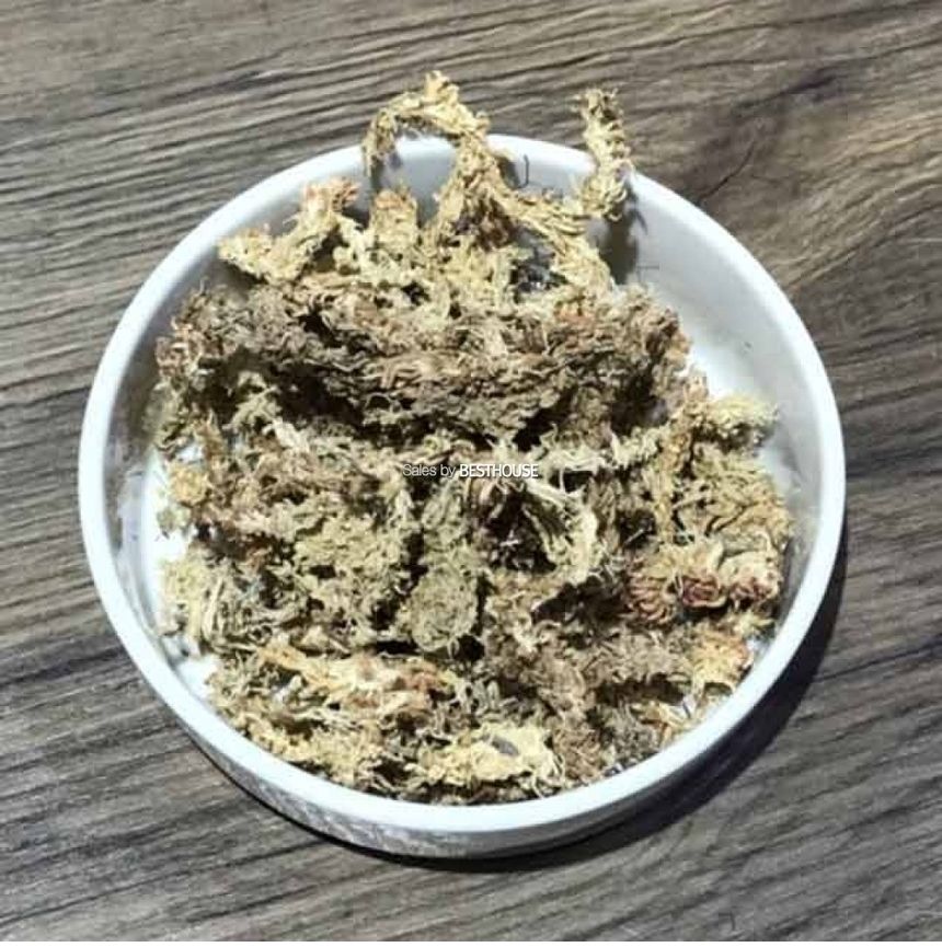 천연수태 (75g) 건조 압축 수태 토피어리 풍란 난 재배용/수태/압축수태/건조수태/건조압축수태/토피어리재
