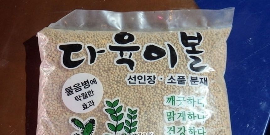(2mm 소립) 동광 다육이볼 2.5L 스투키 선인장 과습방지.무름병방지 (소립 중립 대립)/다육이볼/선인장다육