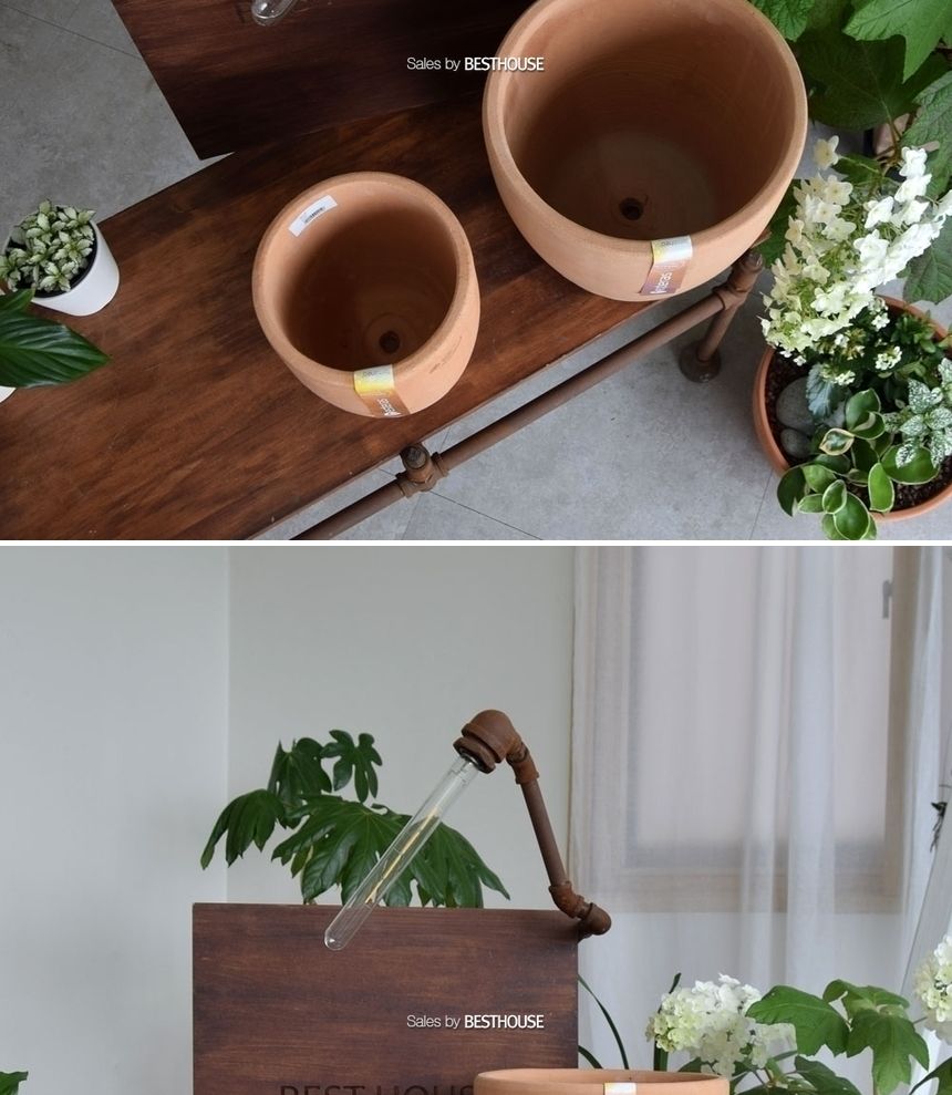 (할인) 2개셋 그리스토분.미분형 긴단지 D20 D30/단지토분/장식화분/디자인화분/실내화분/식물화분/화분/인