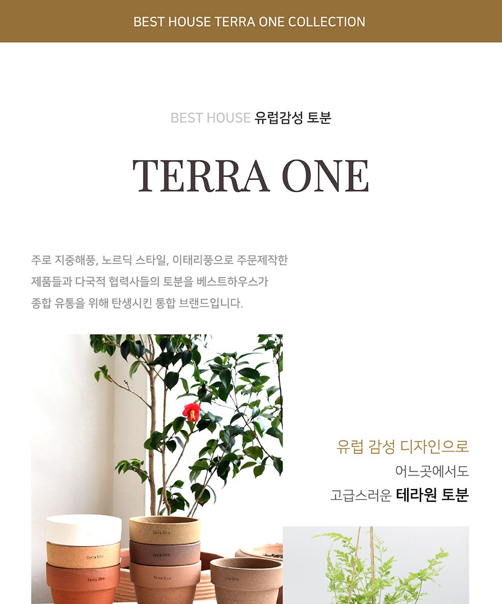 (D19 19x14cm) 베트남 토분 테라원 콤포트 트로피 아레나 D19x14cm/화분/흙화분/토분/예쁜화분/디자인화분/