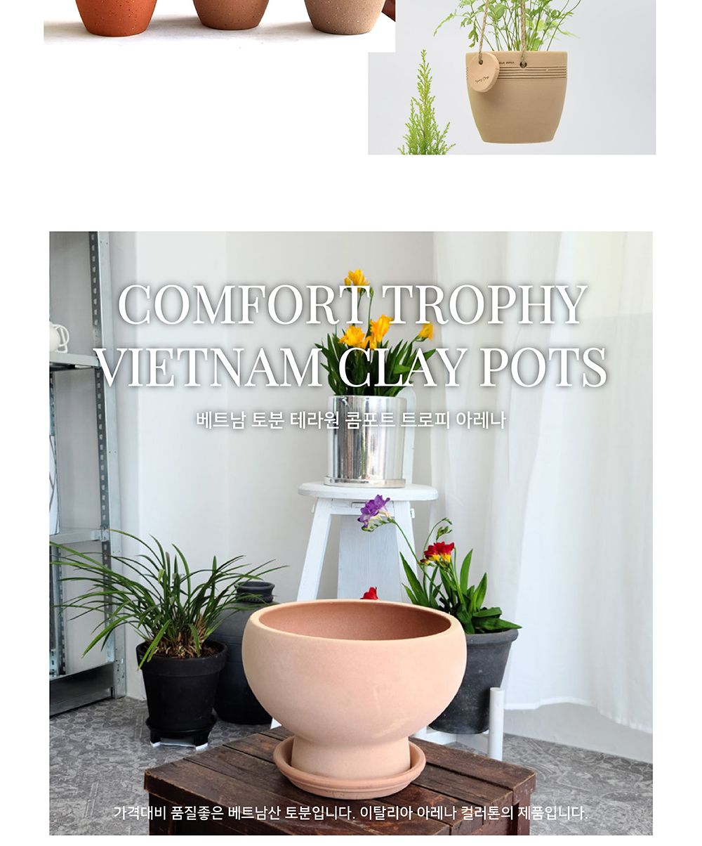 (D19 19x14cm) 베트남 토분 테라원 콤포트 트로피 아레나 D19x14cm/화분/흙화분/토분/예쁜화분/디자인화분/