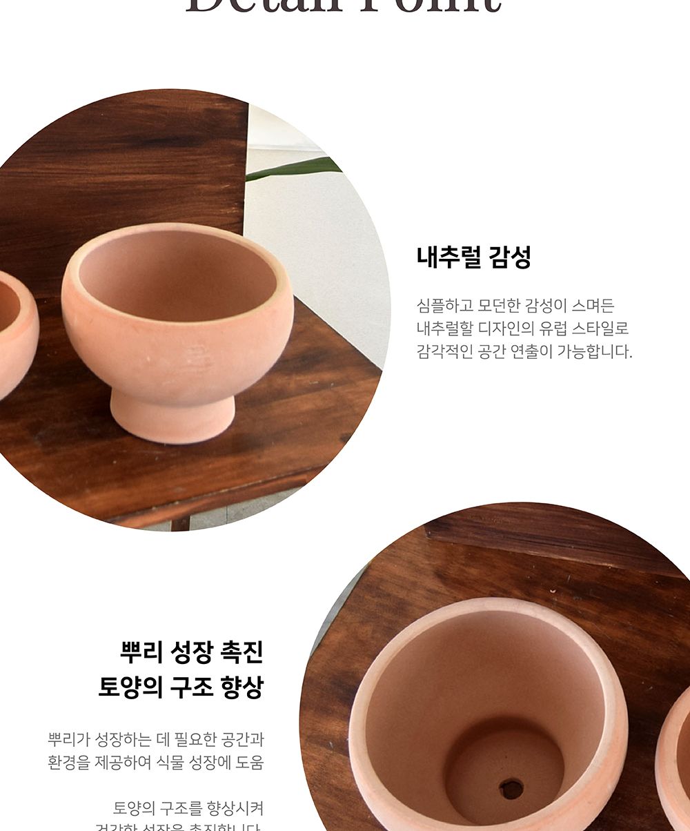 (D19 19x14cm) 베트남 토분 테라원 콤포트 트로피 아레나 D19x14cm/화분/흙화분/토분/예쁜화분/디자인화분/