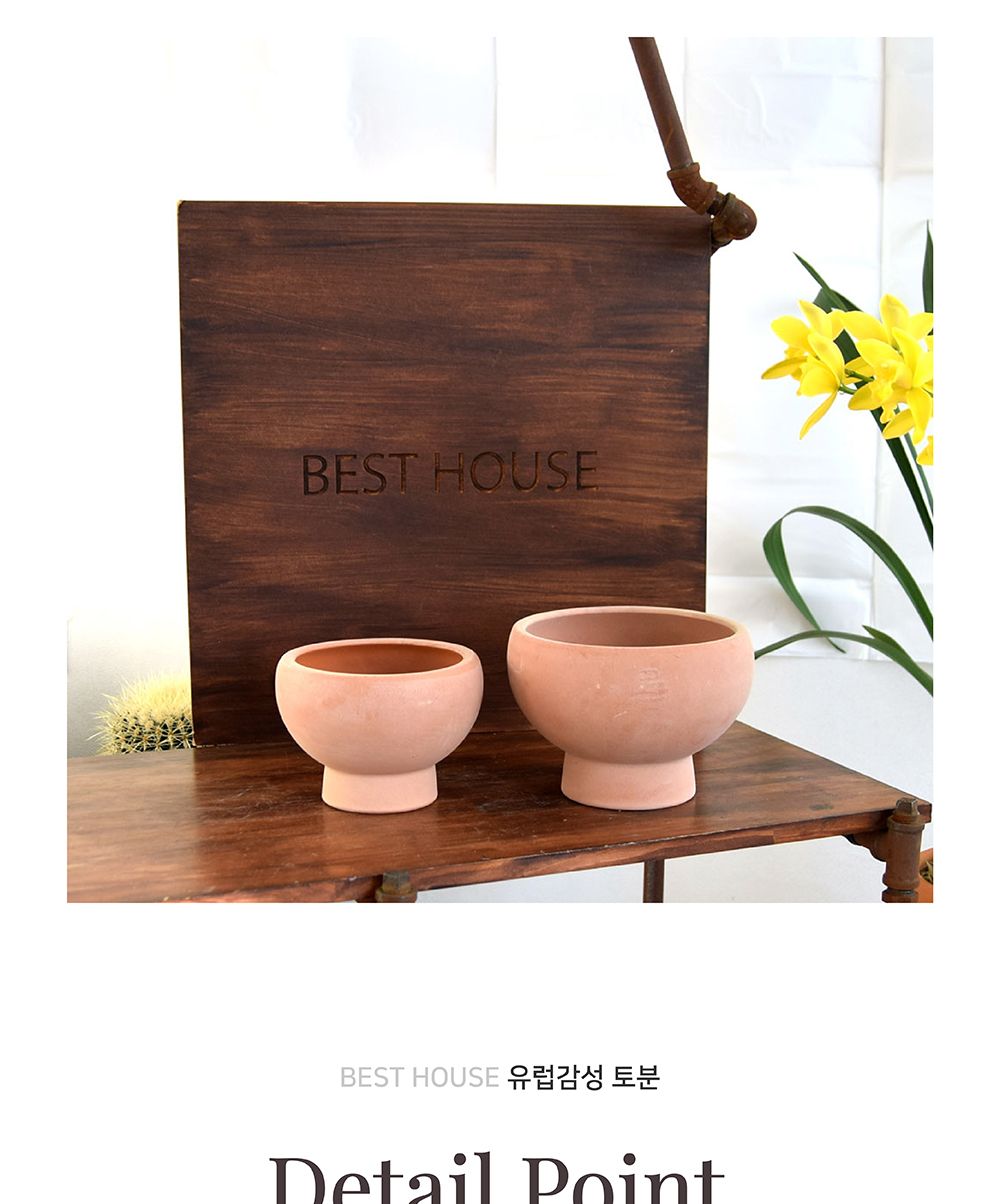 (D16+이태리R13받침) 베트남 토분 테라원 콤포트 트로피 아레나 D16x12cm/화분/흙화분/토분/예쁜화분/디자