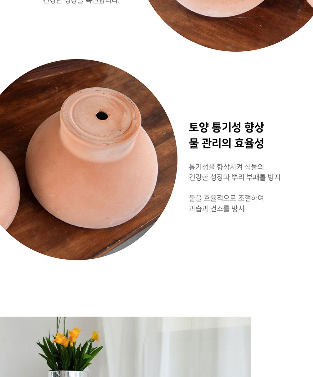 (D16+이태리R13받침) 베트남 토분 테라원 콤포트 트로피 아레나 D16x12cm/화분/흙화분/토분/예쁜화분/디자