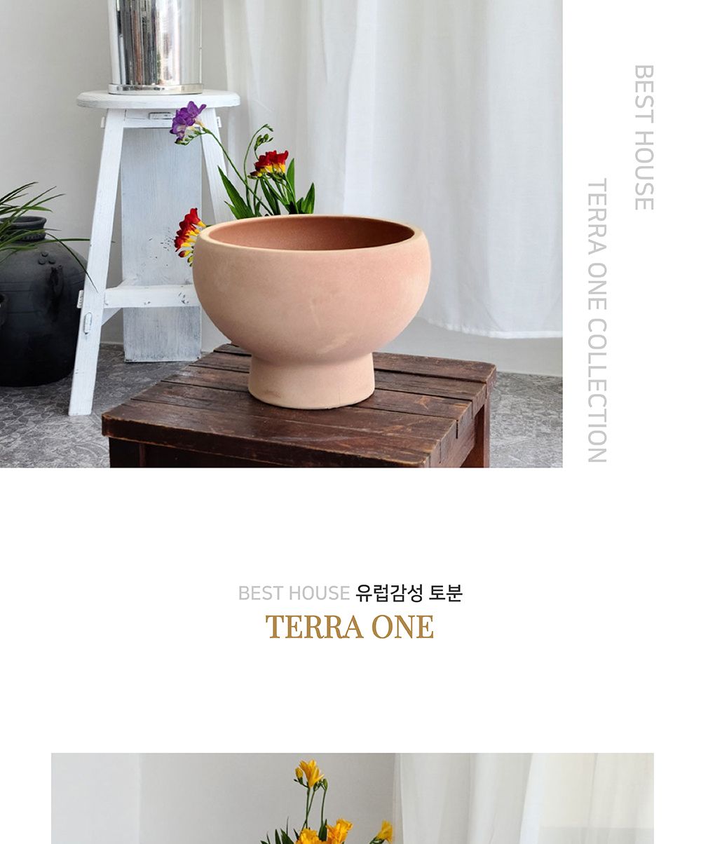 (D16+이태리R13받침) 베트남 토분 테라원 콤포트 트로피 아레나 D16x12cm/화분/흙화분/토분/예쁜화분/디자