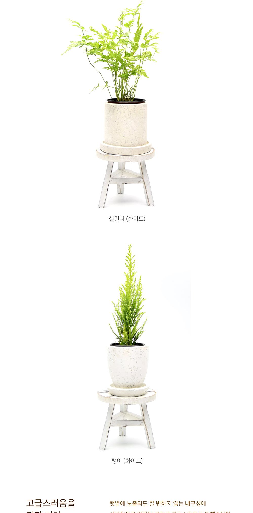 (실린더 블랙) 베하몰 시멘트 테라조 화분 대리석무늬 원형 11x11cm/테라조화분/대리석무늬화분/장식화분/