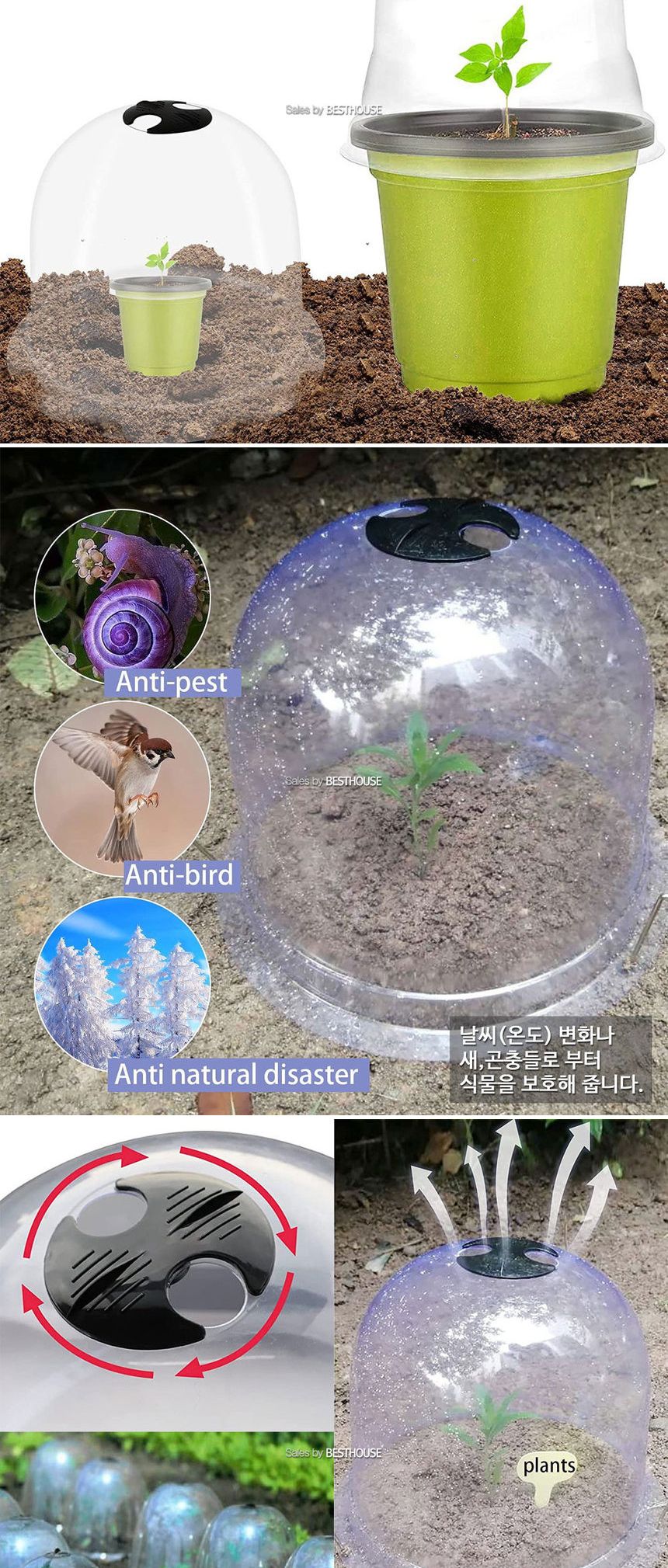 식물 모종보호 미니 온실 커버 20x17cm (5개1셋트)