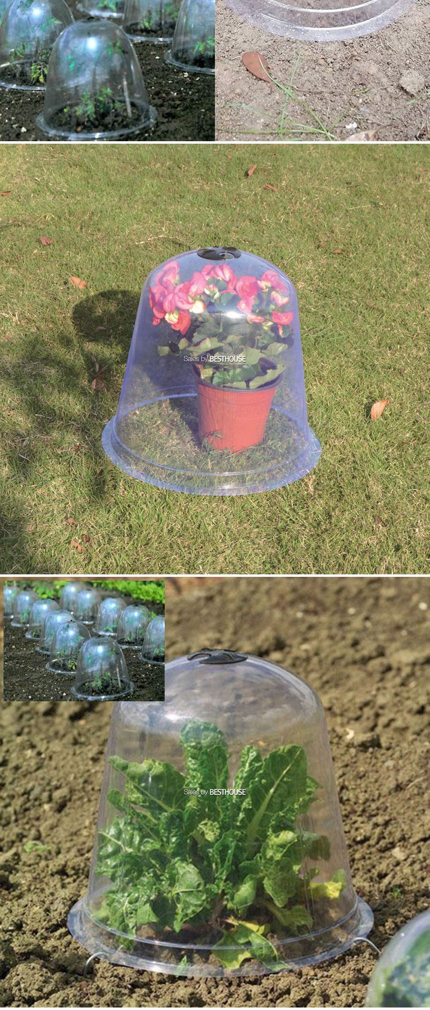 식물 모종보호 미니 온실 커버 20x17cm (5개1셋트)