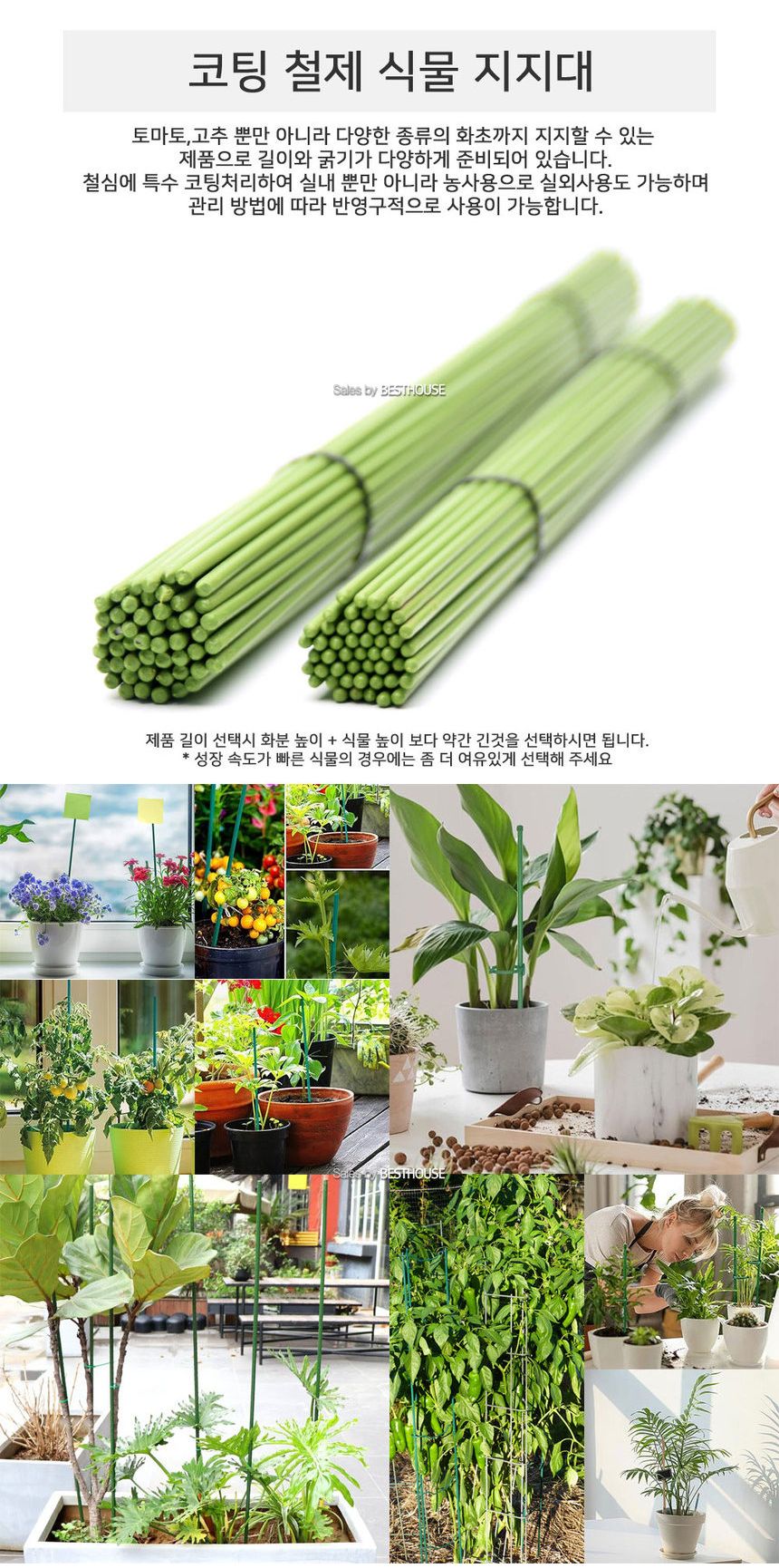 코팅 철제 식물지지대 지주대 4mm x 110cm 50개/지지대/지주대/식물키우기/화분지지대/꽃지지대/화초지지대