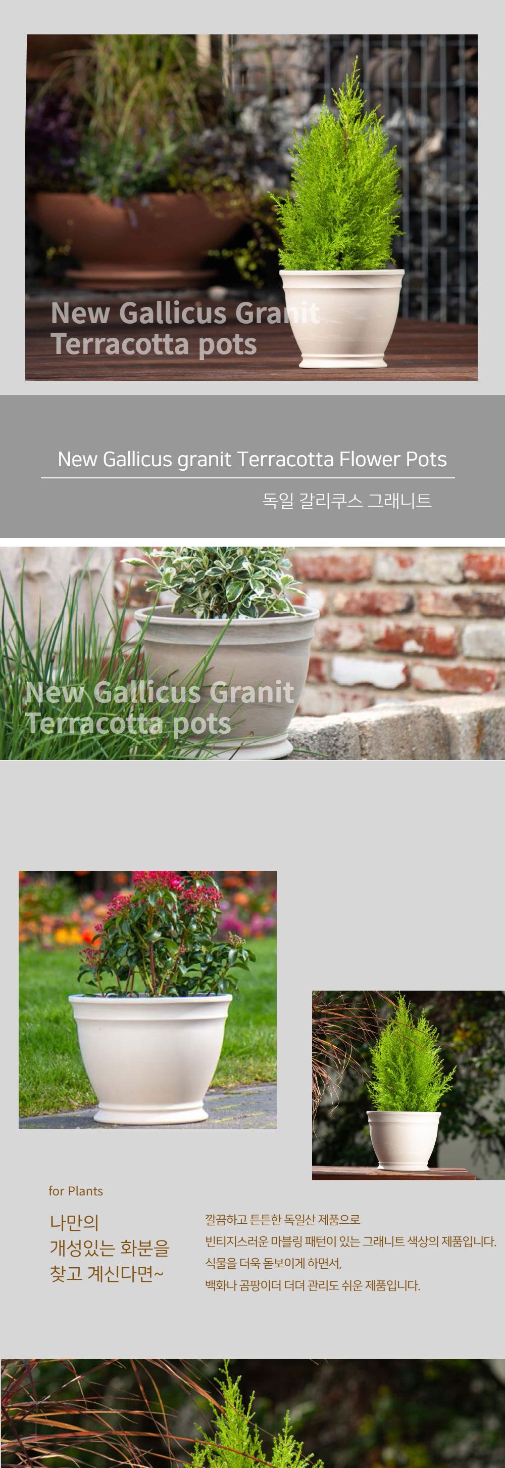 (20호 20x19cm) 빈티지 그래니트 갈리쿠스 독일 토분 화분/화분/토분/예쁜토분/빈티지토분/원예용품/정원용