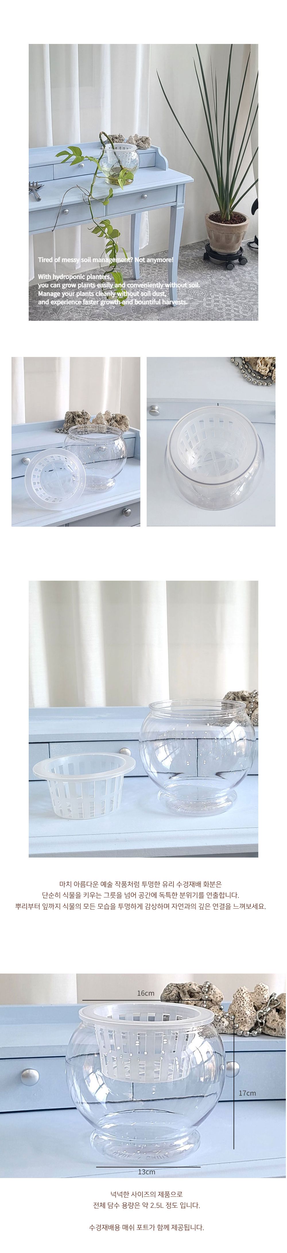 수경재배용 고투명 플라스틱 화분 BH 160B 16x17cm/심플화분/예쁜화분/플라스틱화분/정원용화분/분갈이화분