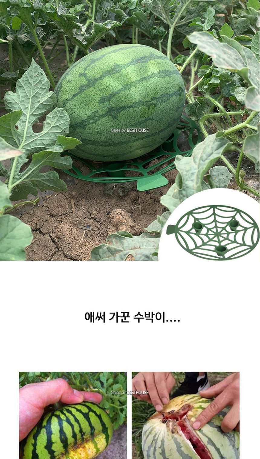 수박 참외 호박 무름방지 받침 20cm 5개 1셋트/과일받침/과일무름방지받침/무름방지받침/채소무름방지받침/