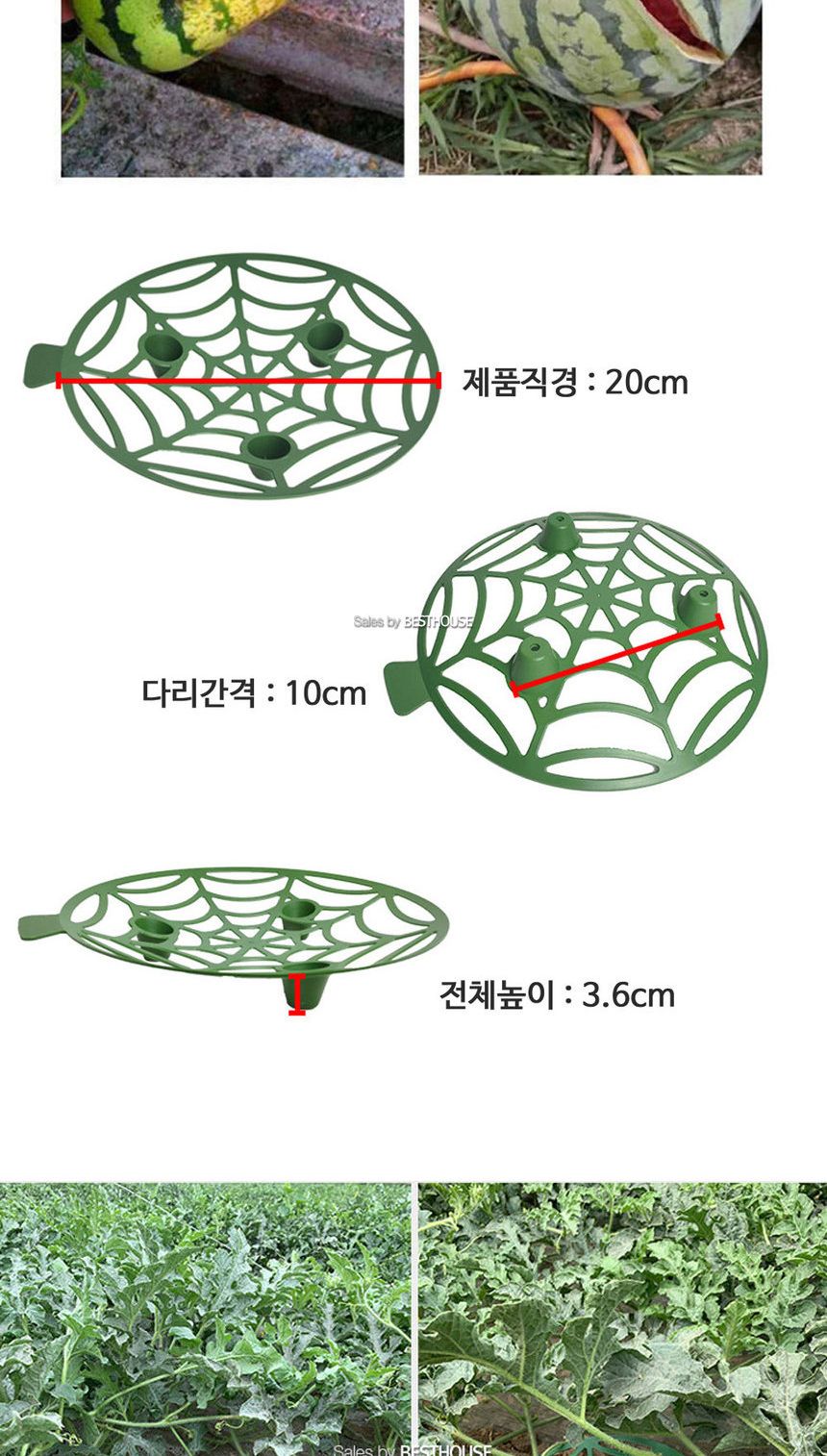 수박 참외 호박 무름방지 받침 20cm 5개 1셋트/과일받침/과일무름방지받침/무름방지받침/채소무름방지받침/