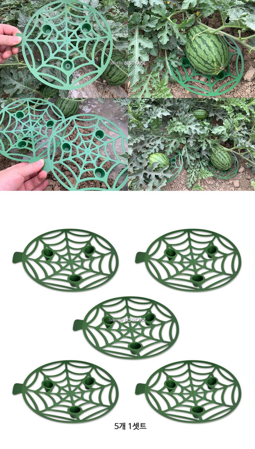 수박 참외 호박 무름방지 받침 20cm 5개 1셋트/과일받침/과일무름방지받침/무름방지받침/채소무름방지받침/
