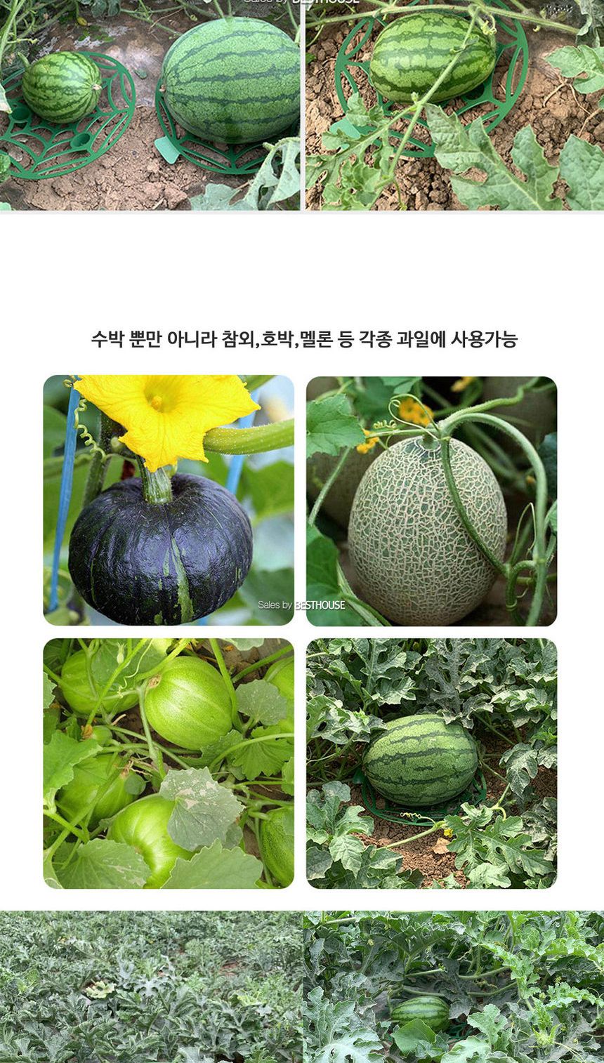 수박 참외 호박 무름방지 받침 20cm 5개 1셋트/과일받침/과일무름방지받침/무름방지받침/채소무름방지받침/