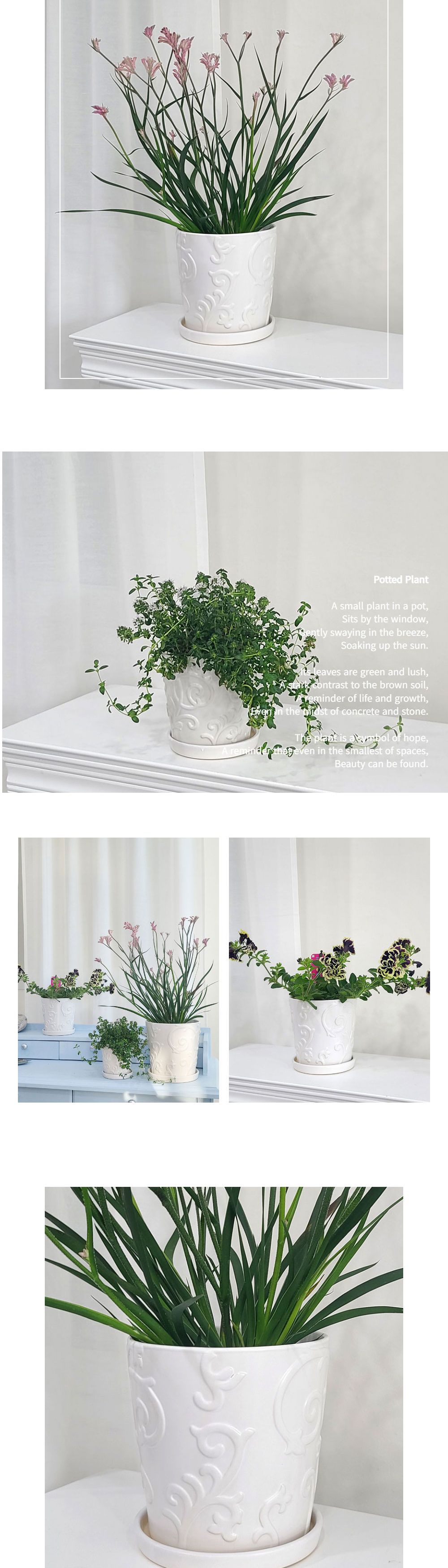 모던 도기 화분 바로크문양 화이트무광 D11x11cm/화분/예쁜화분/도기화분/원예용품/정원용품/분갈이화분/홈