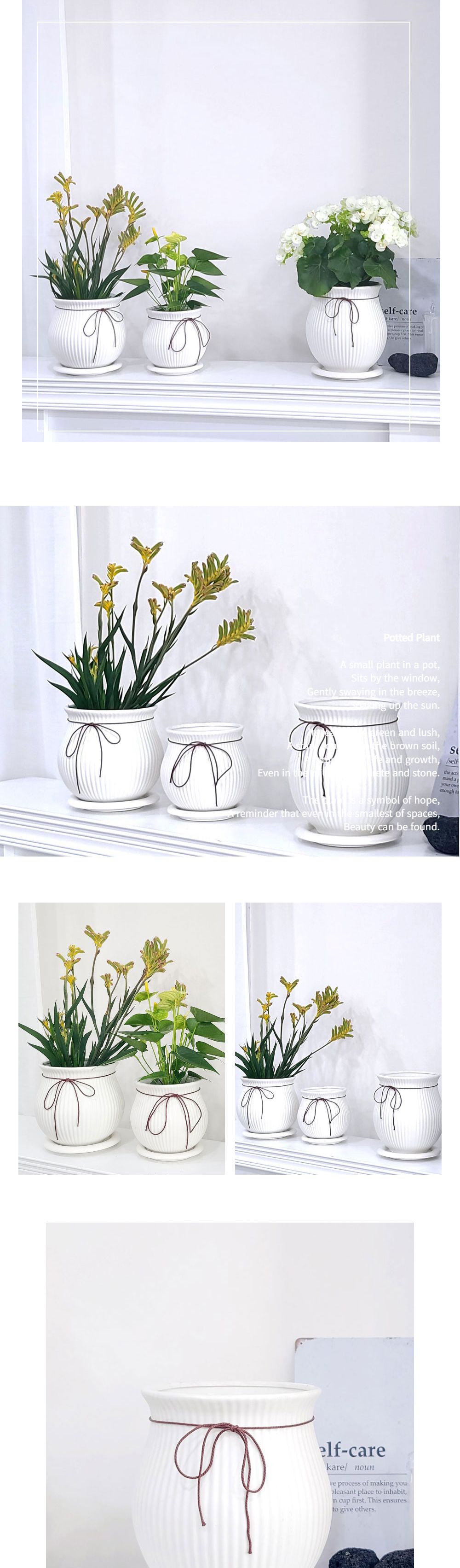 (D17x21cm (높은)) 모던 도기 화분 리본단지 화이트무광/화분/예쁜화분/도기화분/원예용품/정원용품/분갈이