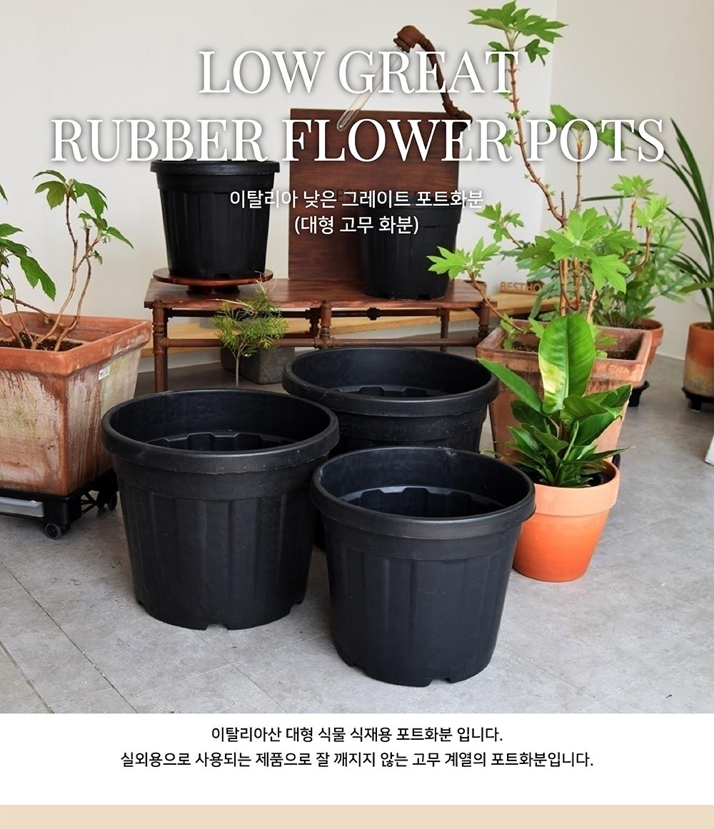 이탈리아 낮은 그레이트 포트화분 대형 고무 D20L/화분/정원용품/홈가드닝용품/가드닝화분/가정용화분/야외