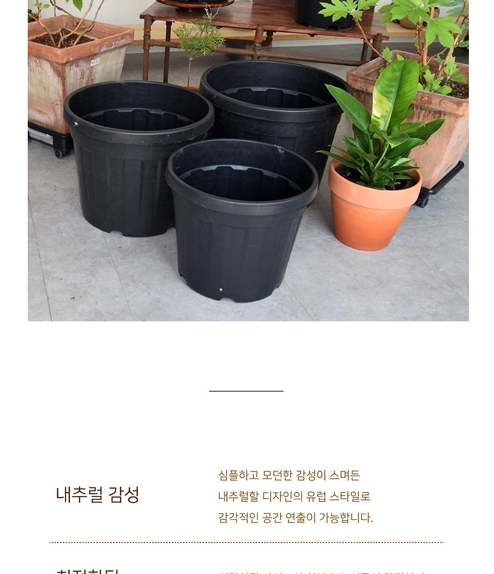이탈리아 낮은 그레이트 포트화분 대형 고무 D20L/화분/정원용품/홈가드닝용품/가드닝화분/가정용화분/야외