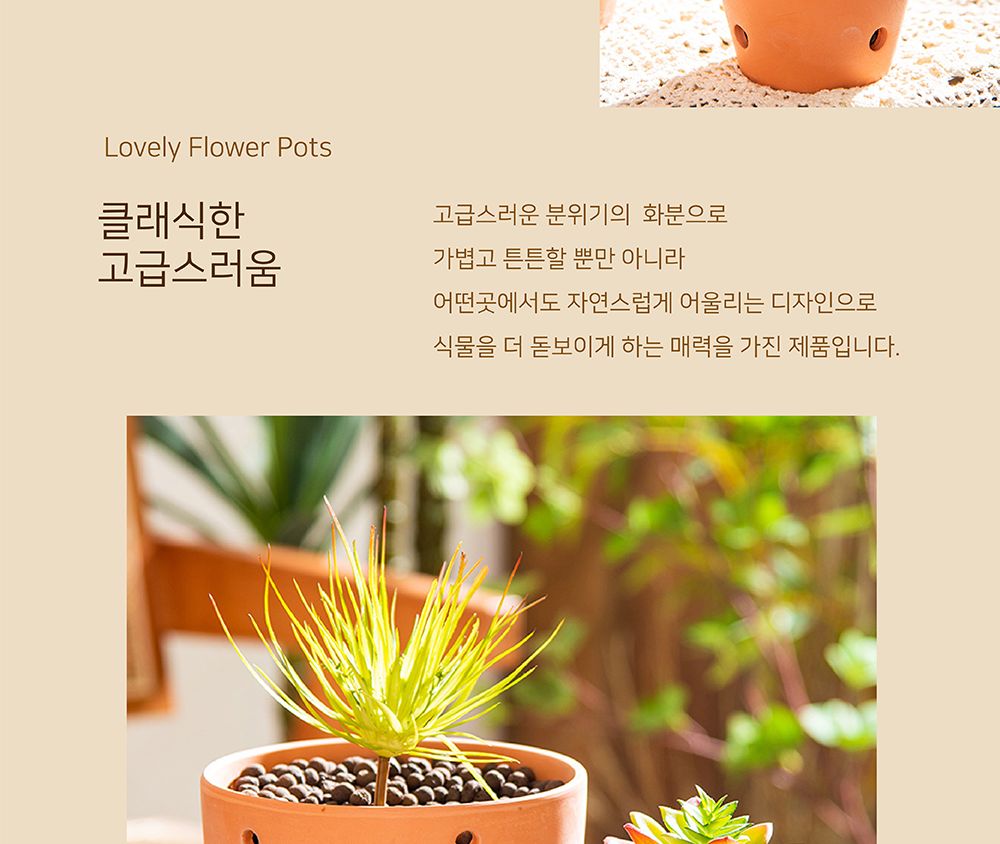 모던 브라운 타공 토분 타공 분재형 D16 16x8cm/화분/정원용품/홈가드닝용품/가드닝화분/가정용화분/야외용