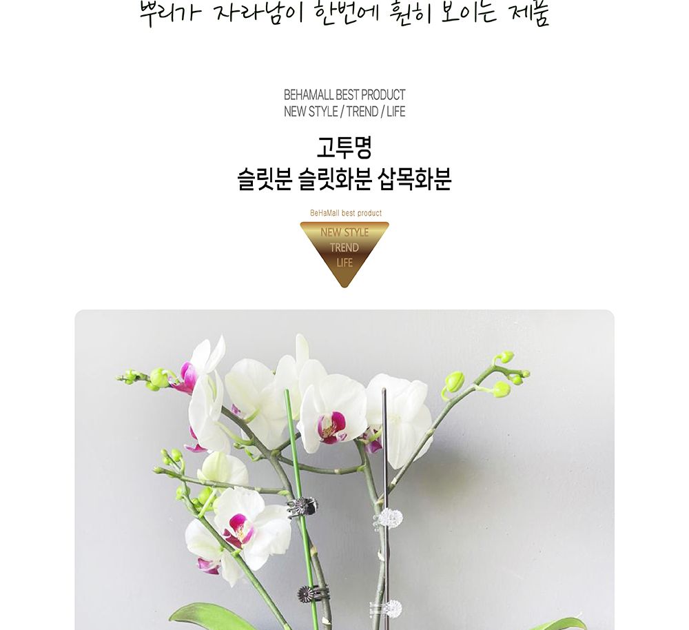 고투명 슬릿분 슬릿화분 삽목화분 24cm/화분/정원용품/홈가드닝용품/가드닝화분/가정용화분/야외용화분/대
