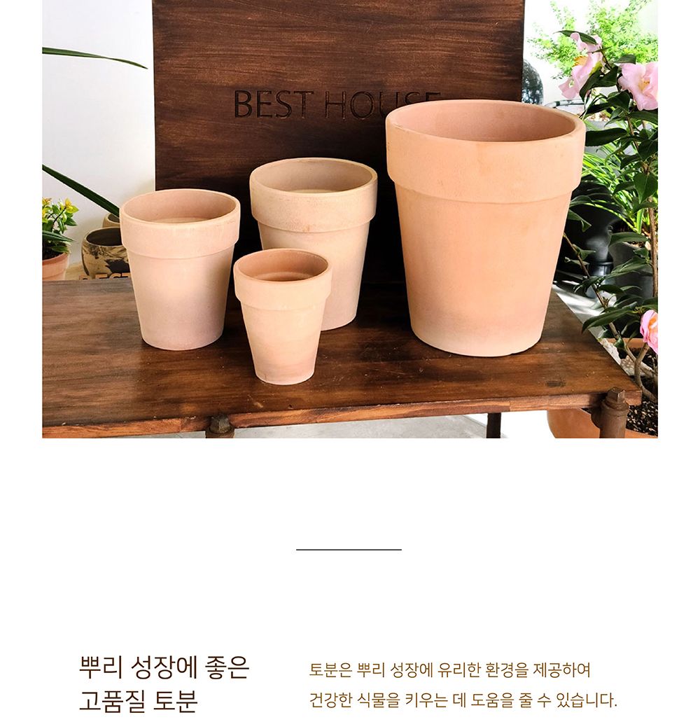 베트남 토분 살구색 키큰기본형 알토플라워 19x21cm/베트남/토분/살구색/키큰기본형/알토플라워/장식/예쁜