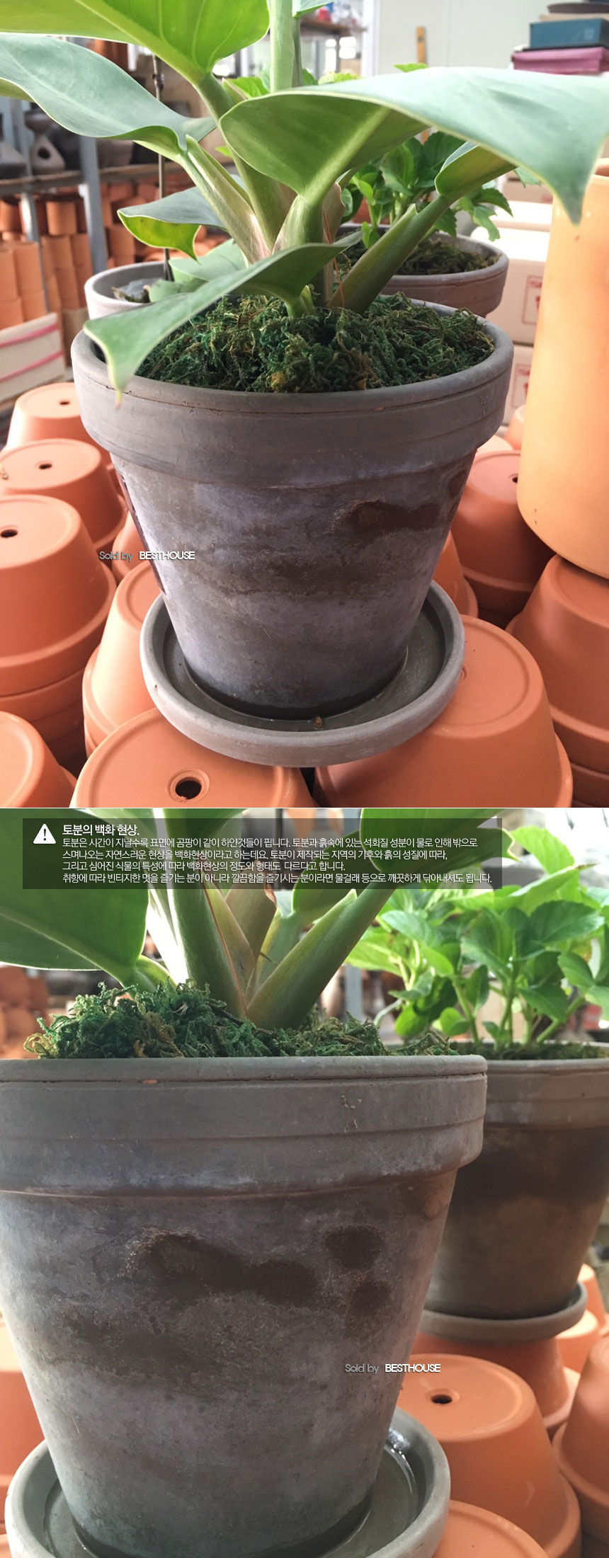 독일산 마블링 긴기본형 소 17x20cm 토분/토분/마블링토분/장식화분/디자인화분/실내화분/식물화분/화분/인