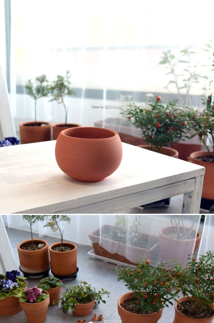 황토빛 앵두 13x9cm 토분 갈색/토분/앵두토분/장식화분/디자인화분/실내화분/식물화분/화분/인테리어화분/