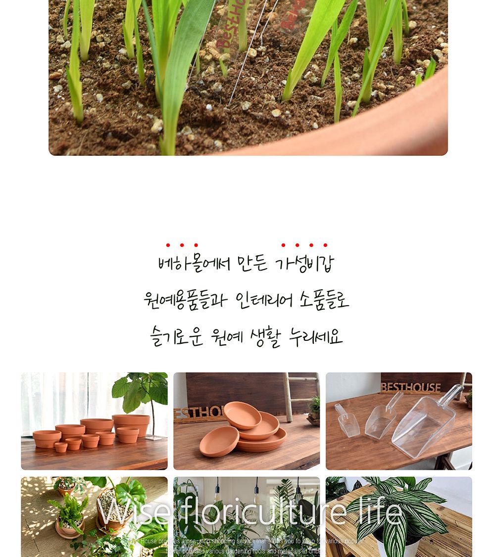 더플라워포터리 투명 이름표 스틱 9x2cm 20p/식물이름표/식물네임텍/식물네임택/네임택스틱/네임텍스틱/이