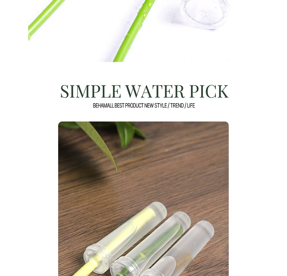 물대롱 워터픽 BH7750M 중 90-100개