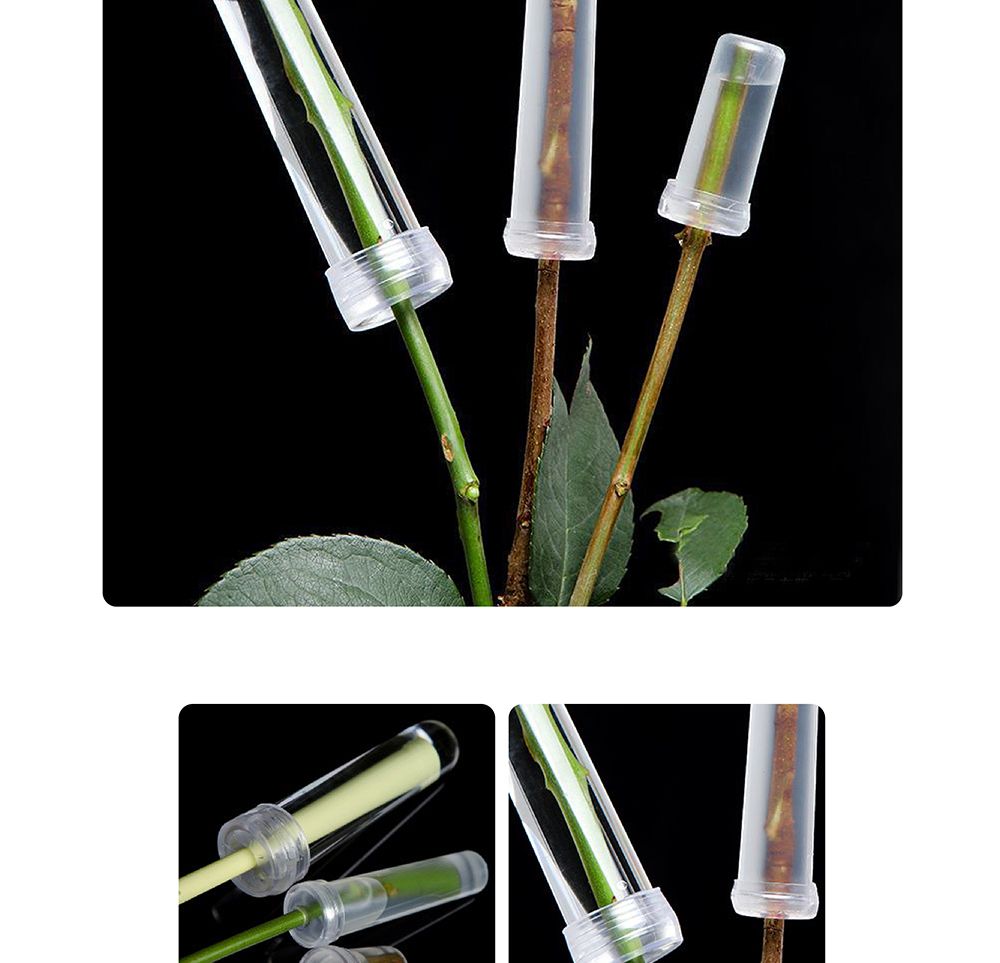 물대롱 워터픽 BH7750M 중 90-100개