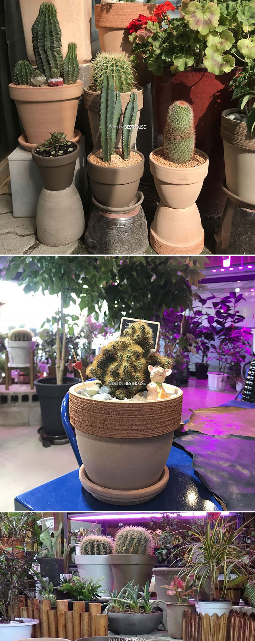 베하몰 바소 팔라디오 35x30cm 브라운/화분/토분/예쁜토분/빈티지토분/원예용품/정원용품/분갈이화분/분갈