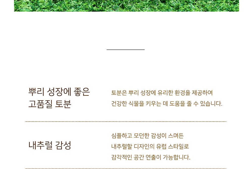 이탈리아 LS Rocco 수제 토분 리본장식 25x20cm/빈티지화분/토기화분/인테리어화분/토분/사무실화분/분재화