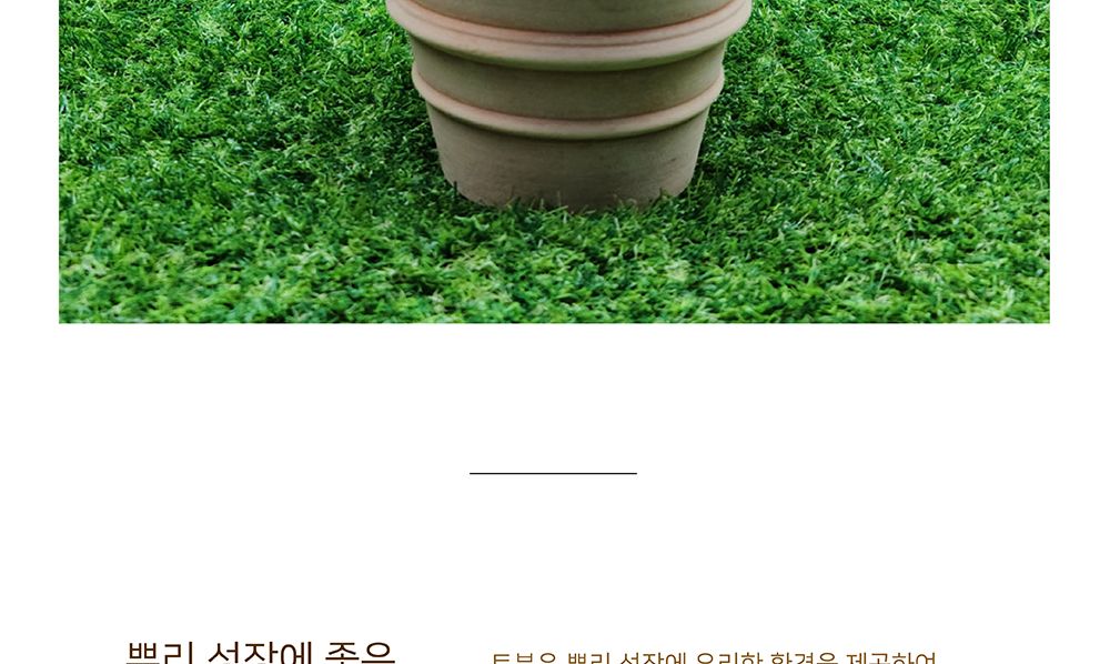 이탈리아 LS Rocco 수제 토분 더블링 25x20cm/빈티지화분/토기화분/인테리어화분/토분/사무실화분/분재화분
